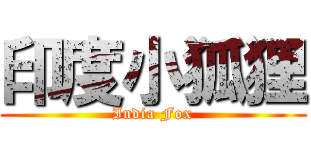 印度小狐狸 (India Fox)