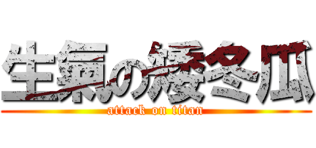 生氣の矮冬瓜 (attack on titan)