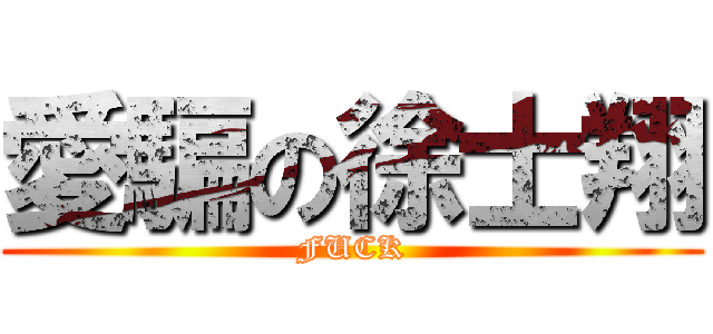 愛騙の徐士翔 (FUCK)