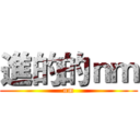 進的的ｎｍ (nm)