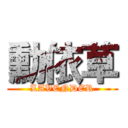 勳依草 (LAVENDER)