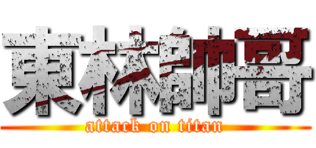東林帥哥 (attack on titan)