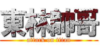 東林帥哥 (attack on titan)