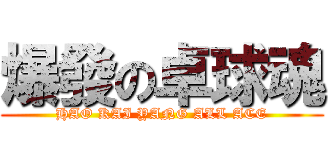 爆發の卓球魂 (HAO KAI YANG ALL ACE)