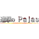 進撃の Ｐａｊａｓ (attack on Pajas)