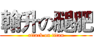 翰升の腿肥 (attack on titan)