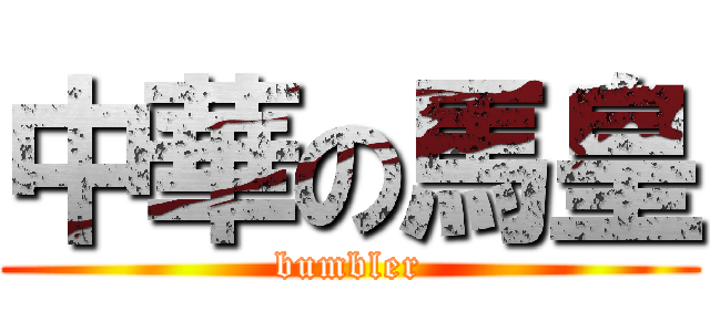 中華の馬皇 (bumbler)
