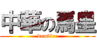 中華の馬皇 (bumbler)