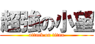 超強の小望 (attack on titan)