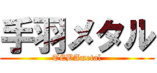 手羽メタル (TEBAmetal)