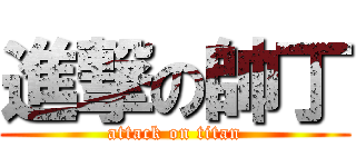 進撃の帥丁 (attack on titan)