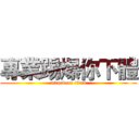 專業踢爆你下體 (attack on titan)