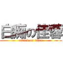 白痴の佳蓉 (attack on titan)