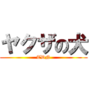 ヤクザの犬 (TDN)