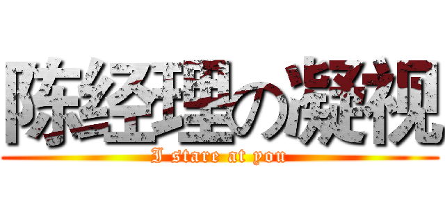 陈经理の凝视 (I stare at you)