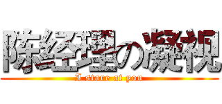 陈经理の凝视 (I stare at you)