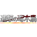 進撃の啄木鳥 (I\'m back)