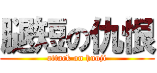 腿短の仇恨 (attack on huoji)