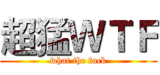 超猛ＷＴＦ (what the fuck)