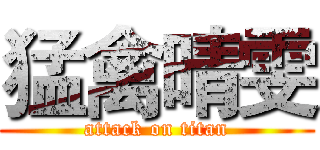 猛禽晴雯 (attack on titan)