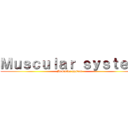 Ｍｕｓｃｕｌａｒ ｓｙｓｔｅｍ (Muscular system)