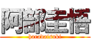 阿部圭悟 (haradaisuki)