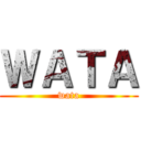 ＷＡＴＡ (wata)