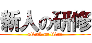 新人の研修 (attack on titan)