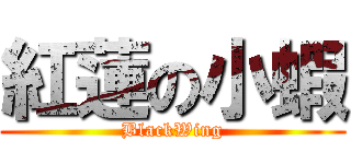紅蓮の小蝦 (BlackWing)