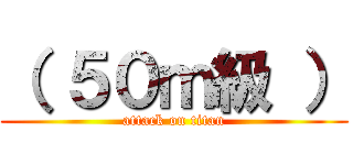 （ ５０ｍ級 ） (attack on titan)
