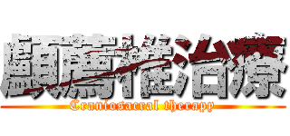 顱薦椎治療 (Craniosacral therapy)