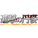 進撃の丹麥 (attack on titan)