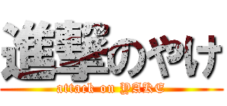 進撃のやけ (attack on YAKE)
