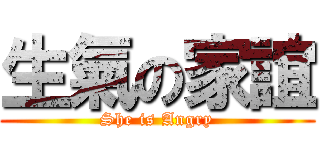 生氣の家誼 (She is Angry)