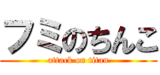 フミのちんこ (attack on titan)