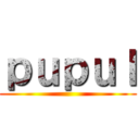 ｐｕｐｕｌ ()