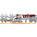 林北是平胸 (attack on titan)