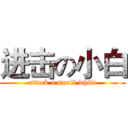 进击の小白 (attack a small white)