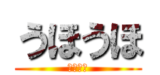うほうほ (うほうほ)