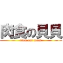 肉食の貝貝 (lion eat meat)