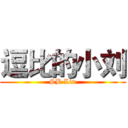 逗比的小刘 (SB Liu)