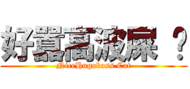 好囂高波屎 貓 (NiceHugoboss Cat)