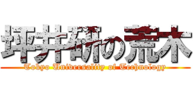 坪井研の荒木 (Tokyo Universality of Technology)