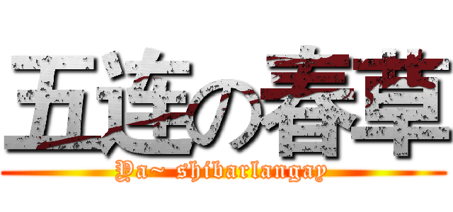 五连の春草 (Ya~ shibarlangay)