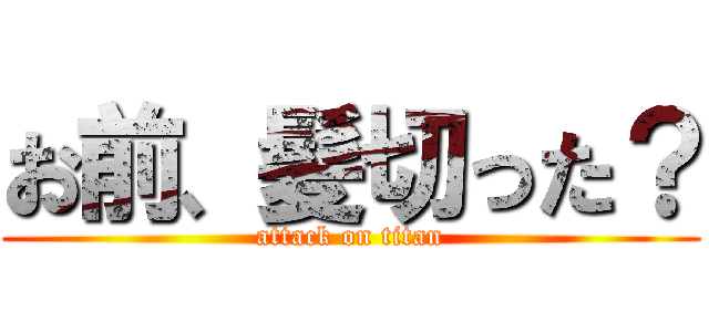 お前、髪切った？ (attack on titan)