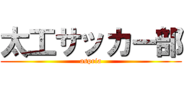 太工サッカー部 (aspria)