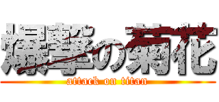 爆撃の菊花 (attack on titan)