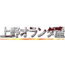 上野オランダ屋 (Temu)