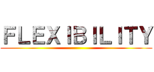 ＦＬＥＸＩＢＩＬＩＴＹ ()