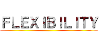ＦＬＥＸＩＢＩＬＩＴＹ ()